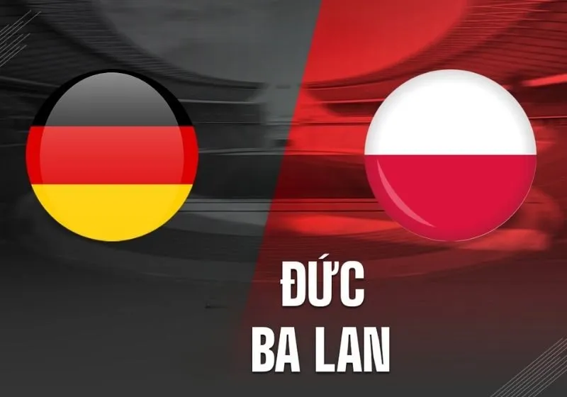 Dự đoán nếu tái đấu